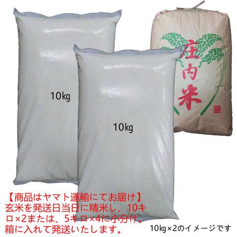 令和5年産 新米 送料無料 山形県産 特別栽培米 ひとめぼれ 白米 20キロ はくまい 20kg 二十キロ