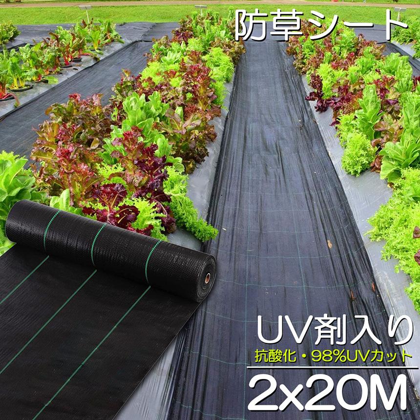 防草シート 50m X 1m 除草シート 園芸用シート 雑草シート UV剤入り 高透水 農業 家庭用 園芸用 除草 雑草通水性 砂利 杭 ガーデニング