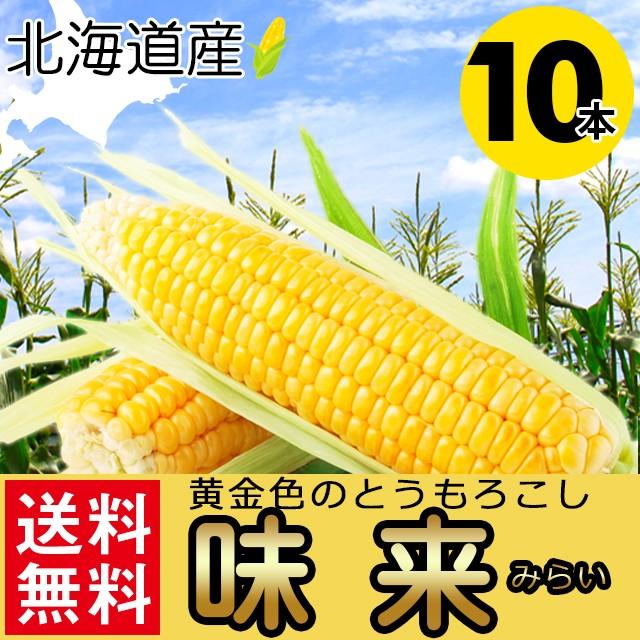 とうもろこし 送料無料 北海道産 味来(みらい 10本入り)   トウモロコシ 新鮮直送 旬 黄色 イエローコーン 甘い