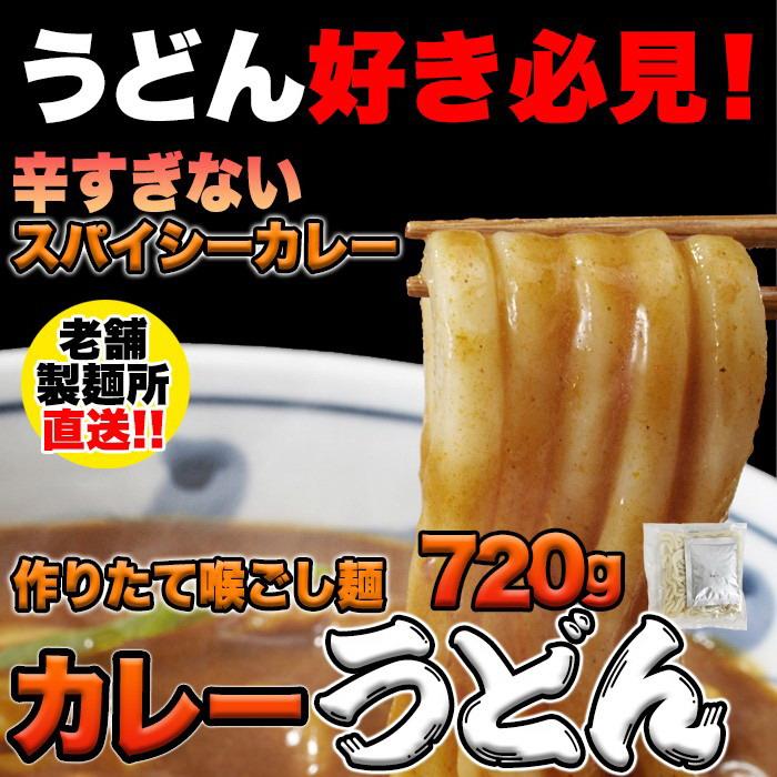 ゆうパケット発送讃岐の製麺所が作る、辛すぎないスパイシーなカレーうどん4食(180g×4)