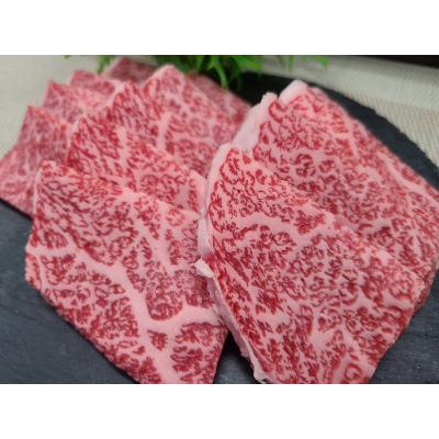 ふるさと納税 伊賀市 忍者ビーフ　サーロイン焼肉用　800g