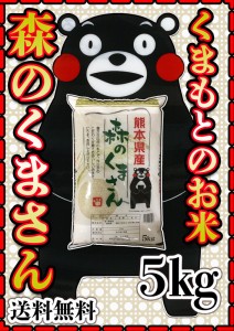 お米 米 5kg 白米 送料無料 熊本県産 森のくまさん あす着 新米 令和5年産 5kg1個 くまモン くまもとのお米 富田商店 とみた商店