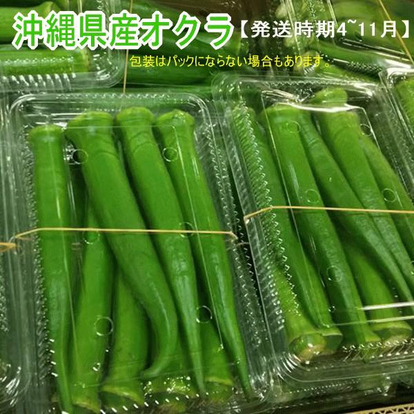 沖縄県産オクラ 500ｇ 　沖縄の濃い野菜