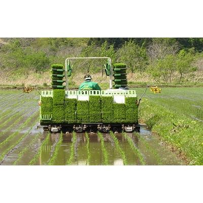 ふるさと納税 八雲町 ゆめぴりか10kg(精白米)