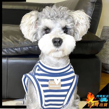 【台灣出貨】寵物背心 寵物衣服 貓衣服 狗衣服 兩腳衣狗狗衣服 貓咪背心衣服 小中型犬 寵物條紋服飾 法斗 貓咪 泰迪
