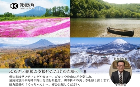 北海道 倶知安町産 長芋 2L×約6本 計5kg 春堀り 芋 ながいも とろろ 新鮮 フレッシュ 野菜 農作物 産直 山芋 麦とろ 山かけ おつまみ グリーンアースファーム 送料無料 北海道 倶知安町