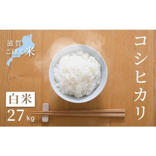 ふるさと納税 滋賀県 長浜市 令和5年 滋賀県湖北産 湖北のコシヒカリ 27kg (白米)