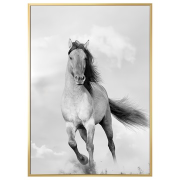 Boluo 菠蘿選畫所 馳騁的野馬 ANSS3406G 掛畫 40 x 30cm 畫框  金色