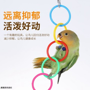 ⚡️免運臺灣出貨⚡️鸚鵡解悶玩具吊環攀爬玩耍啃咬攀爬牡丹玄鳳鸚鵡用玩具用品大全🌟可開票