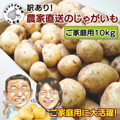 ふるさと納税 松浦市 訳あり!ご家庭用に大活躍!農家直送の新じゃが　10kg