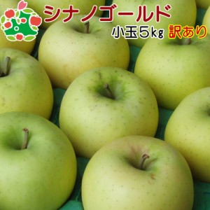 りんご 訳あり 青森県産 シナノゴールド 小玉 キズあり 5kg 送料無料 産地直送 産直自宅用 ワケあり お試し 試食 食べ物 旬の くだもの