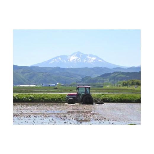 ふるさと納税 青森県 鰺ヶ沢町 令和5年産 まっしぐら 無洗米 20kg（10kg×2袋）※令和5年10月上旬より順次お届け 青森県鰺ヶ沢町産　山下農園