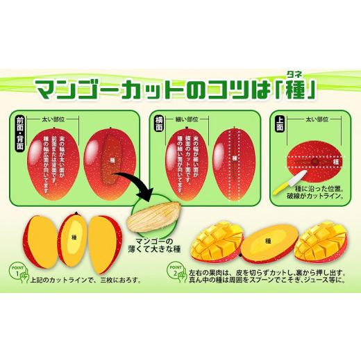 ふるさと納税 沖縄県 宜野座村 新里農園のアップルマンゴー家庭用（約2kg）
