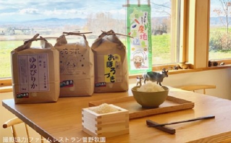 納得！北海道米食べ比べ10kg×2回