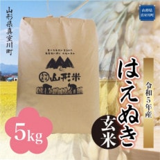 令和5年産 はえぬき  5kg(5kg×1袋) 山形県 真室川町