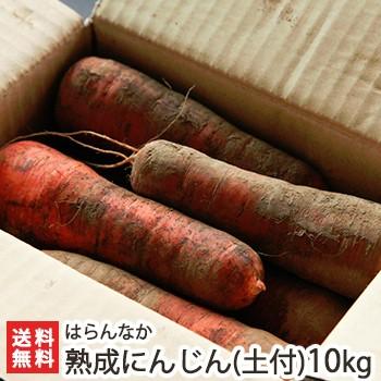 魚沼産 無農薬栽培 熟成にんじん（土付き）10kg はらんなか 送料無料