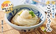 手延べ半生こびきうどん 9袋入り 特製ぶっかけ醤油付（贈答用・熨斗つき）