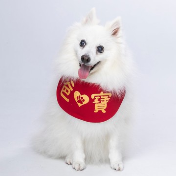 【ZAZAZOO】 寵物國民領巾系列 | 爸寶 |