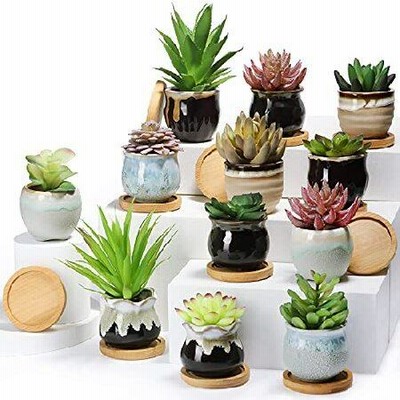 Sets Succulent Plant Pot Ceramic with Drainage Tiny Porcel
