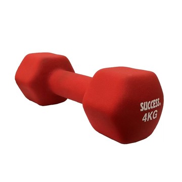 成功牌防滑塑身啞鈴4KG(六角包膠啞鈴/二頭肌/重訓健身/深蹲/握推/GetSport)