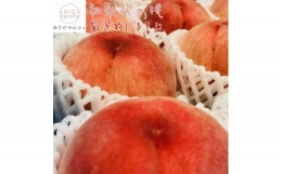 和歌山のこだわり桃　約1.5kg（５～６玉）