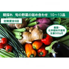 旬の野菜と栽培期間中農薬不使用の生姜付き全6回