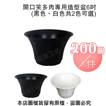 開口笑多肉專用造型盆6吋(黑色、白色共2色可選) 200個/件黑色
