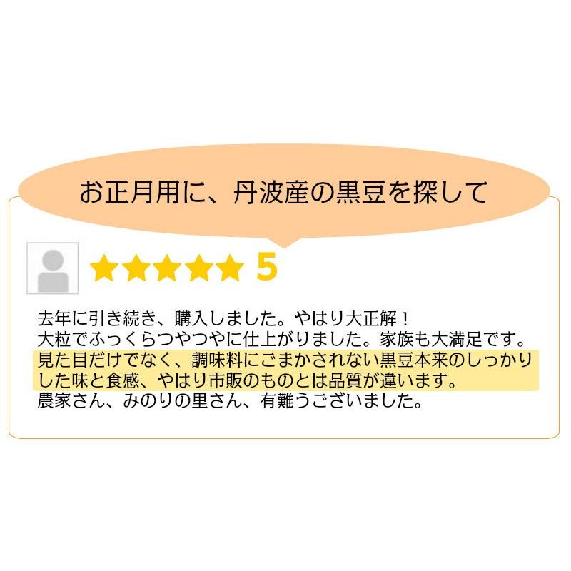 丹波篠山黒豆 200g 丹波 黒豆 丹波黒大豆 202３産 新豆 Ｌ〜２Ｌ