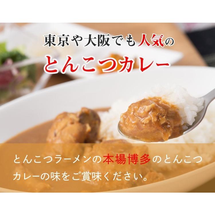 産地直送九州お取り寄せ　九州産　 　ご当地カレー　ポークカレー　レトルト　　送料無料