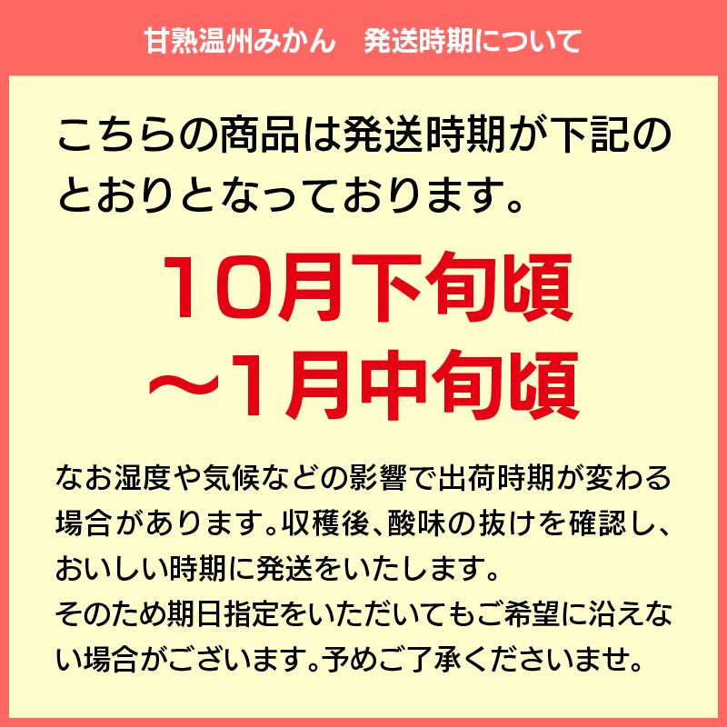 甘熟温州みかん 5kg（ S〜2L混合） 温州みかん 甘熟