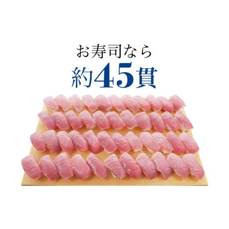 ふるさと納税 メバチマグロ 中トロ 600g(冷凍・サク) [0011-0010] 千葉県鴨川市