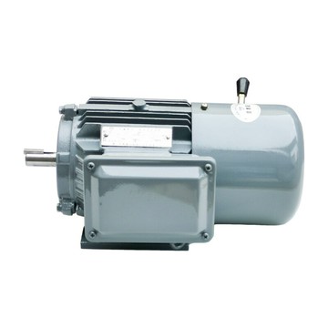 YEJ系列電磁制動三相異步電動機 失電后快速制動剎車電機按需廠家[DD1211001]