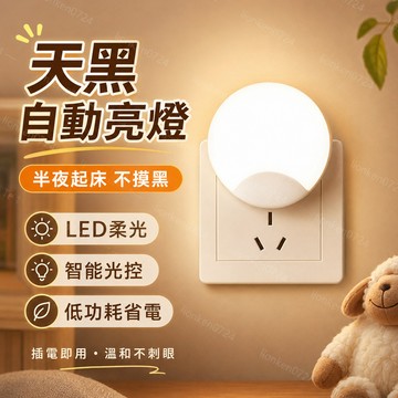 🔥台灣出貨🔥小夜燈插電感應燈夜光燈臥室led燈具床頭小夜燈兒童睡覺壁燈節能d 居家感應燈 氛圍燈