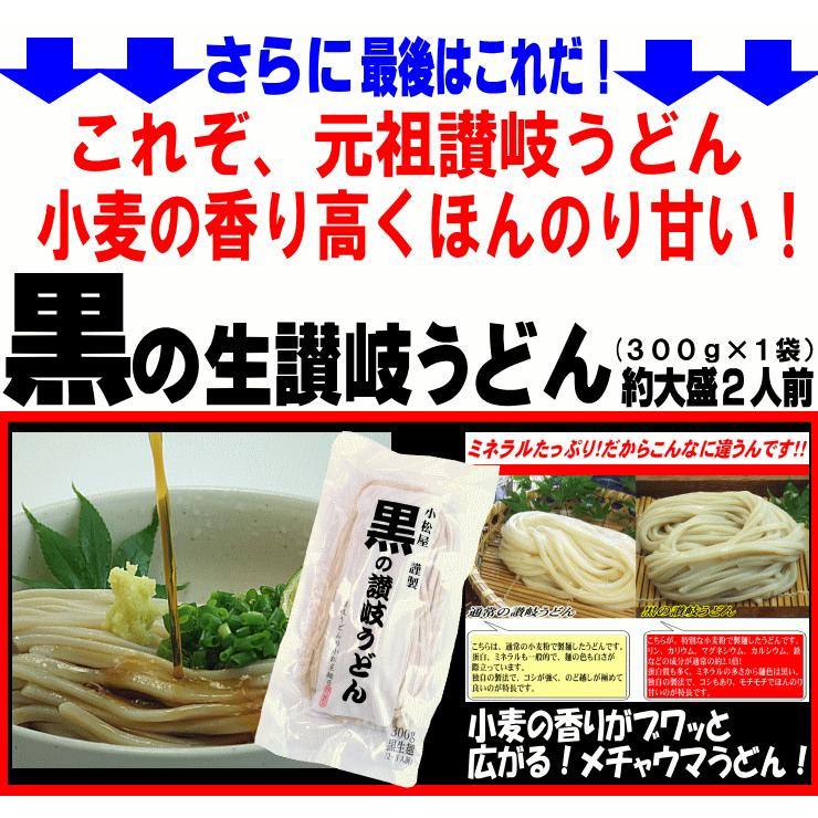 送料無料 超！バラエティー讃岐うどん（10人前） お歳暮 内祝い 贈り物 お返し お見舞い 新築祝い ギフト等におすすめ！