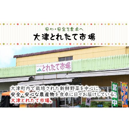 ふるさと納税 熊本県大津町産 季節の野菜セット(6〜8種類)《60日以内に順次出荷(土日祝除く)》野菜 冷蔵 JA菊池 大津中央支所 とれたて市場 熊本県大津町