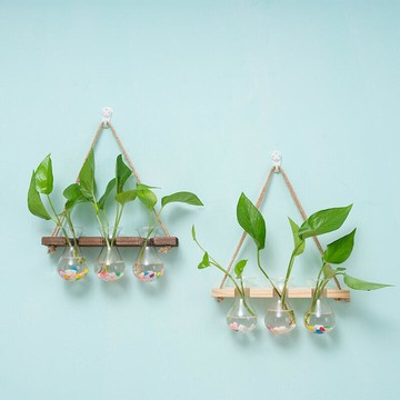 歐式壁掛水培植物容器辦公室麻繩掛牆花瓶室內過道牆面設計裝飾品