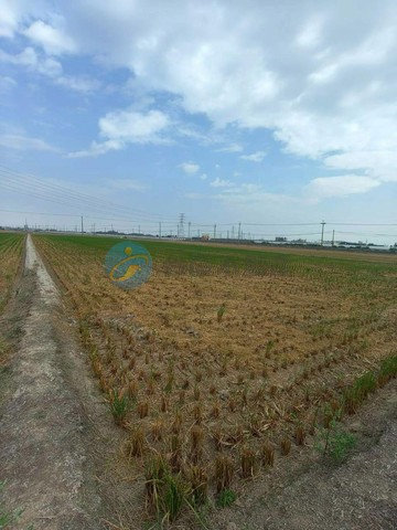 溪口厝子方正農地｜嘉義縣溪口鄉厝子