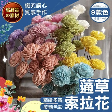 【隔日送達🚀】蓪草索拉花 人造花 擬真花 仿真花 乾燥花 不凋花 蓪草花 拍攝道具 索拉