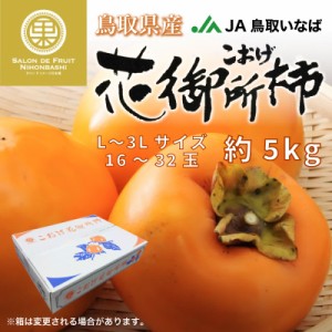 [予約 2023年 11月15日-12月31日の納品] こおげ 花御所柿 約5kg L-3L 16-32玉 鳥取県産 産地箱 JA鳥取いなば 幻の甘柿 上級品 柿 冬ギフ