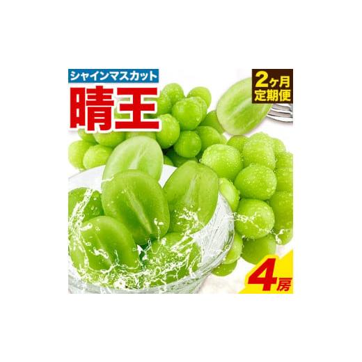 ふるさと納税 岡山県 浅口市 ぶどう 2ヶ月 定期便 [2024年先行予約] シャインマスカット 晴王 岡山県産 2房 約1kg《9月上旬-11月上旬頃出荷(土日祝除く)》 ハ…