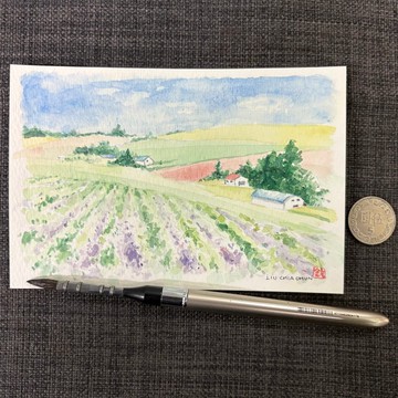 北海道的花蕊-手繪原創淡彩畫