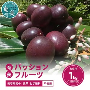 農薬・化学肥料不使用　奄美パッションフルーツ1kg（12個前後）家庭用 パッションフルーツ 奄美産 家庭用 1kg 12個前後 栽培期間中農薬・化学肥料不使用 鹿児島 奄美大島 果物 ビタミン 葉酸 トロピカルフルーツ 農家直送