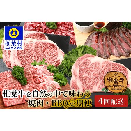 ふるさと納税 総重量2.4kg！椎葉牛 大自然の中で味わう焼肉・BBQ定期便≪焼き肉・ステーキ・切り落とし・ローストビーフ≫ 宮崎県椎葉村