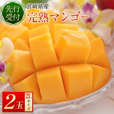 ふるさと納税 新富町 完熟マンゴー2L×2個