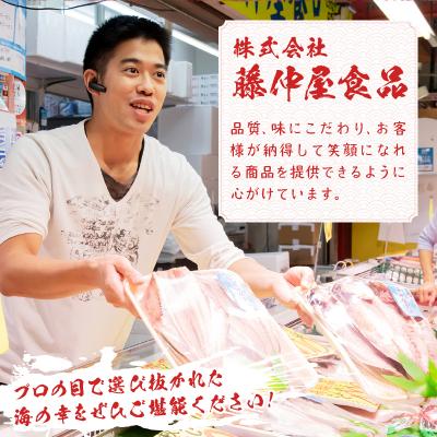 ふるさと納税 焼津市 お刺身用駿河湾産生しらす600g(100g×6パック)(a10-653)