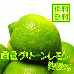 国産(和歌山有田産)グリーンレモン 約２ｋｇ(ノーワックス)(防腐剤不使用)(減農薬)