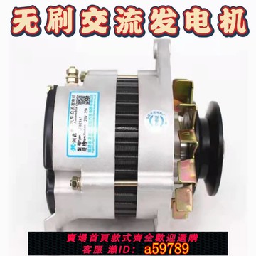 【台灣公司 可打統編】汽車拖拉機三輪車四輪車貨車農用車發電機12v24v無刷永磁交流
