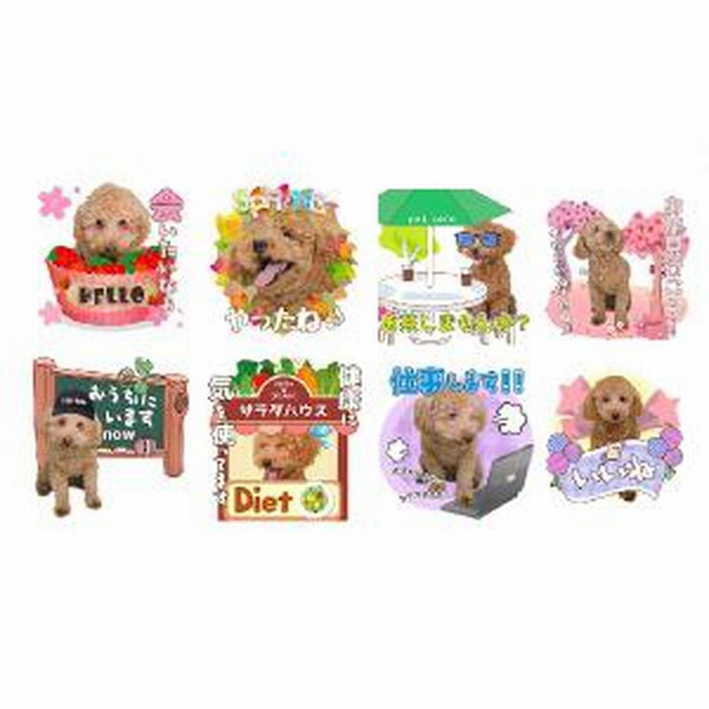 うちの子lineスタンプ スプリングセット3 写真でつくるオリジナルlineスタンプ 犬用 通販 Lineポイント最大7 0 Get Line ショッピング