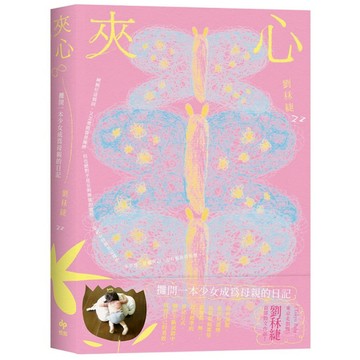 夾心