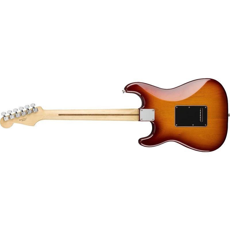 エレキギター Fender Player Stratocaster? HSH, Pau Ferro Fingerboard, Tobacco